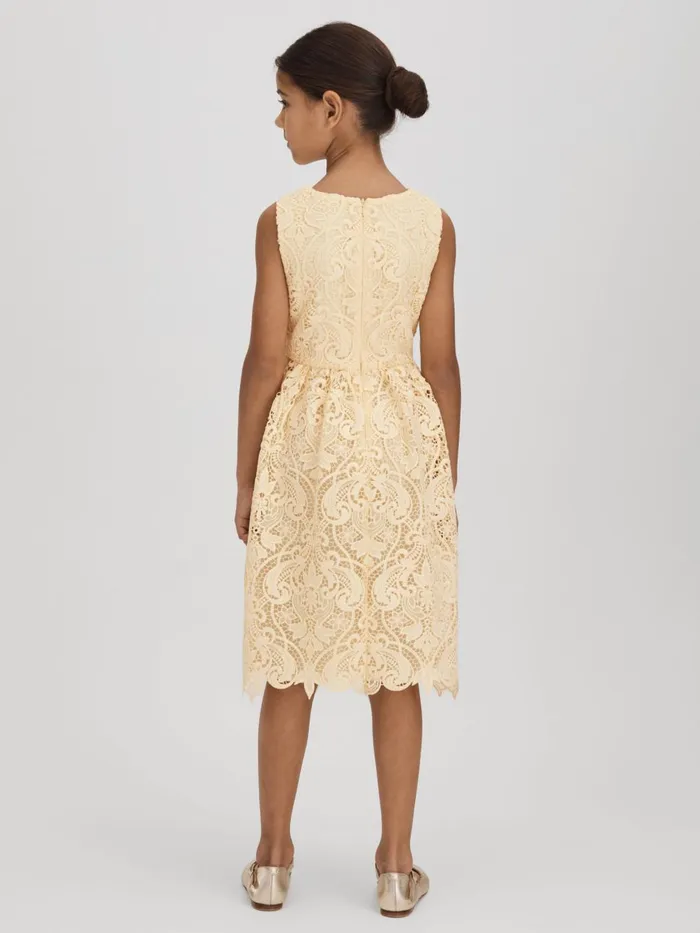 Children Reiss Dresses Daia FitandFlare Lace Dress Lemon