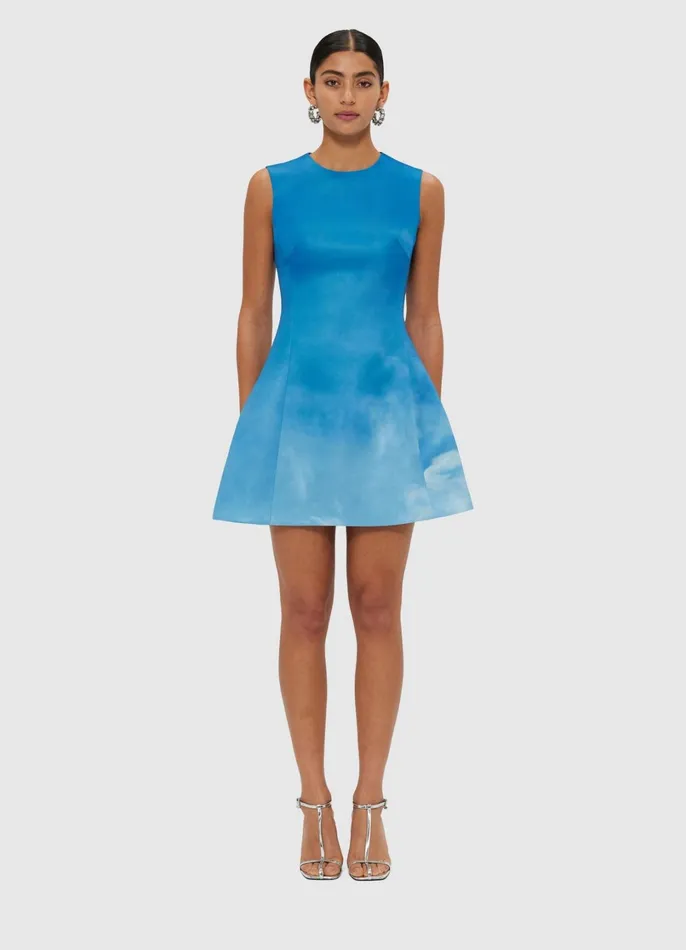 Dresses and Jumpsuits Women LEO LIN Chloe Sleeveless Mini Dress 8211 Aerial Print