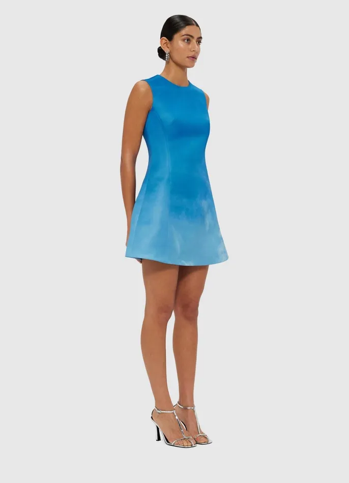 Dresses and Jumpsuits Women LEO LIN Chloe Sleeveless Mini Dress 8211 Aerial Print