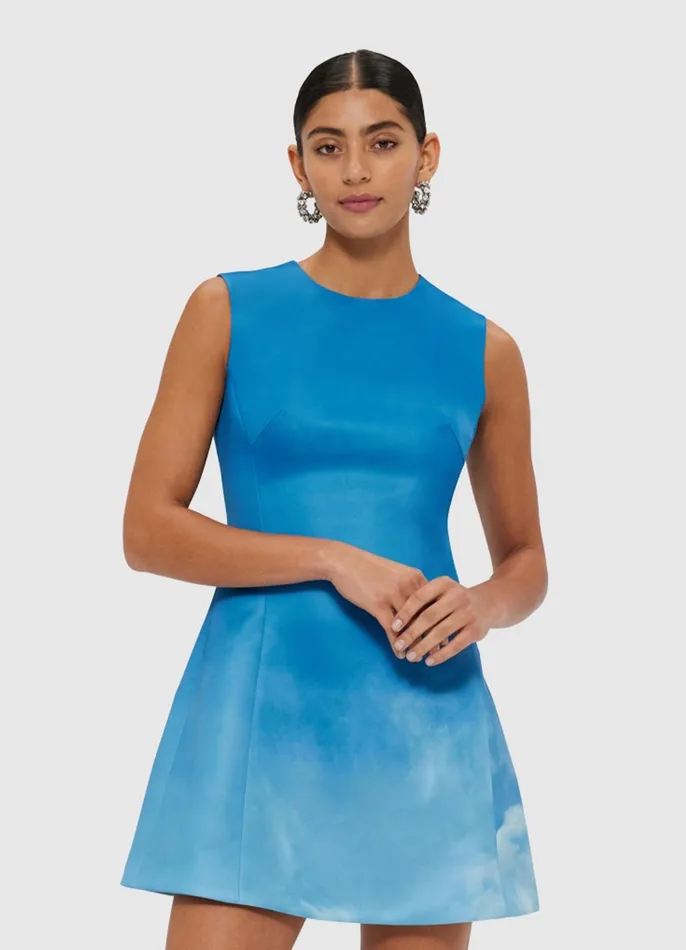 Dresses and Jumpsuits Women LEO LIN Chloe Sleeveless Mini Dress 8211 Aerial Print