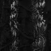 Dresses and Jumpsuits Women LEO LIN Lori Lace Maxi Dress 8211 Ebony