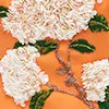 Dresses and Jumpsuits Women LEO LIN Lucinda Embellished Maxi Dress 8211 Hydrangea Print In Tangerine