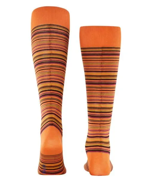 Men Microblock Men Kneehigh Socks Tandoori FALKE Knee High Socks