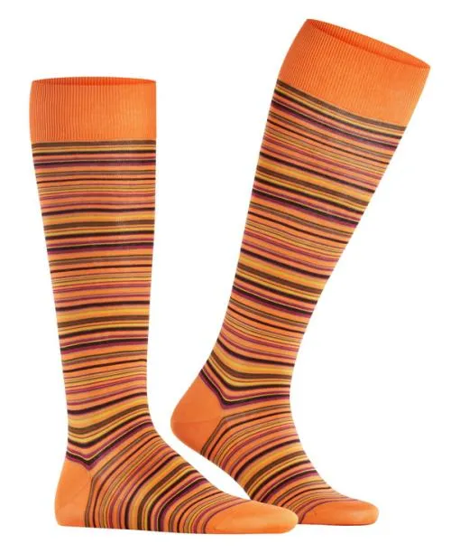 Men Microblock Men Kneehigh Socks Tandoori FALKE Knee High Socks