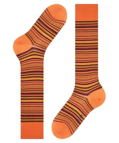 Men Microblock Men Kneehigh Socks Tandoori FALKE Knee High Socks