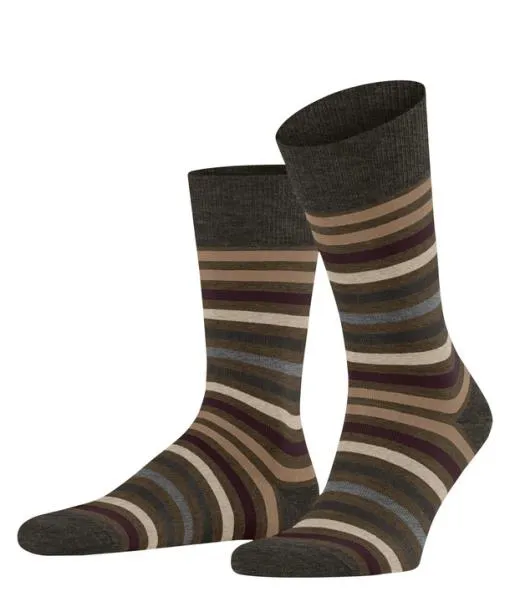 Men Tinted Stripe Men Socks Beech FALKE Socks