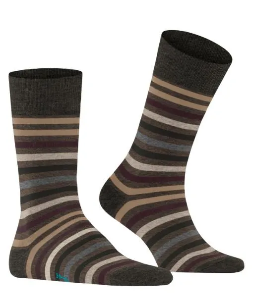 Men Tinted Stripe Men Socks Beech FALKE Socks