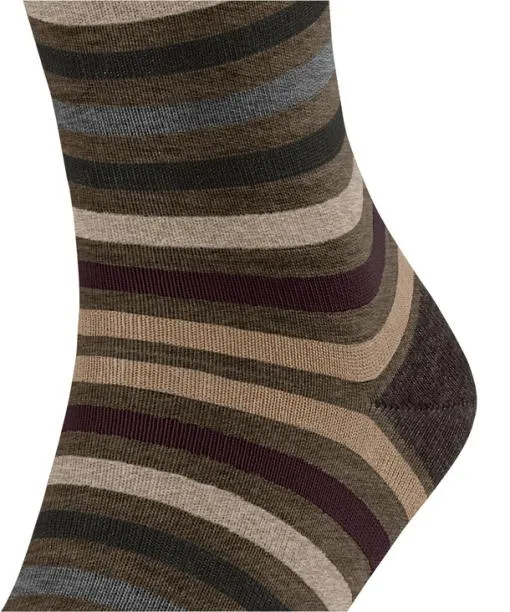 Men Tinted Stripe Men Socks Beech FALKE Socks
