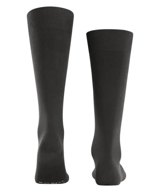 Men Ultra Energizing Men Kneehigh Socks Brown FALKE Functionals