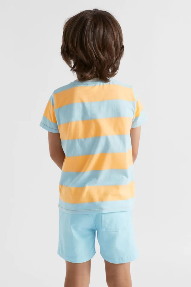 TShirts and Tops Boy Seed Heritage Block Stripe Tee Ocean Blue