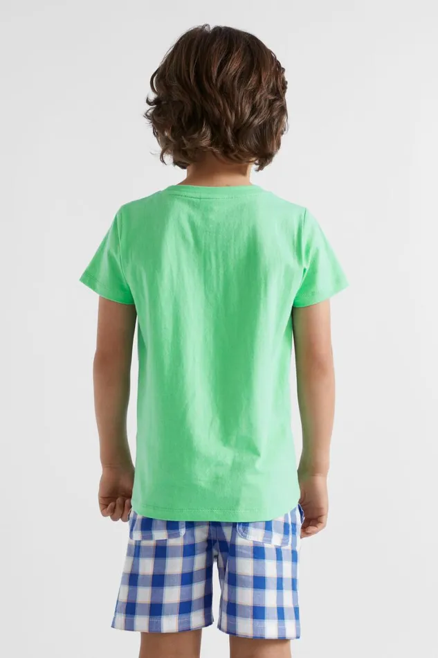 TShirts and Tops Boy Seed Heritage Core Logo Tee Pine Lime Multi