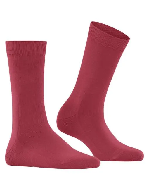 Women Family Women Socks Redwine FALKE Socks